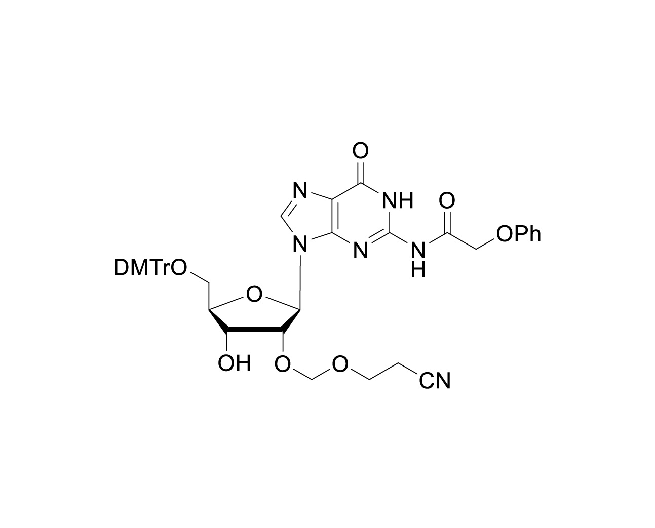 5'-O-DMTr-2'-O-(2-cyanoethoxymethyl)-rG(Pac)
