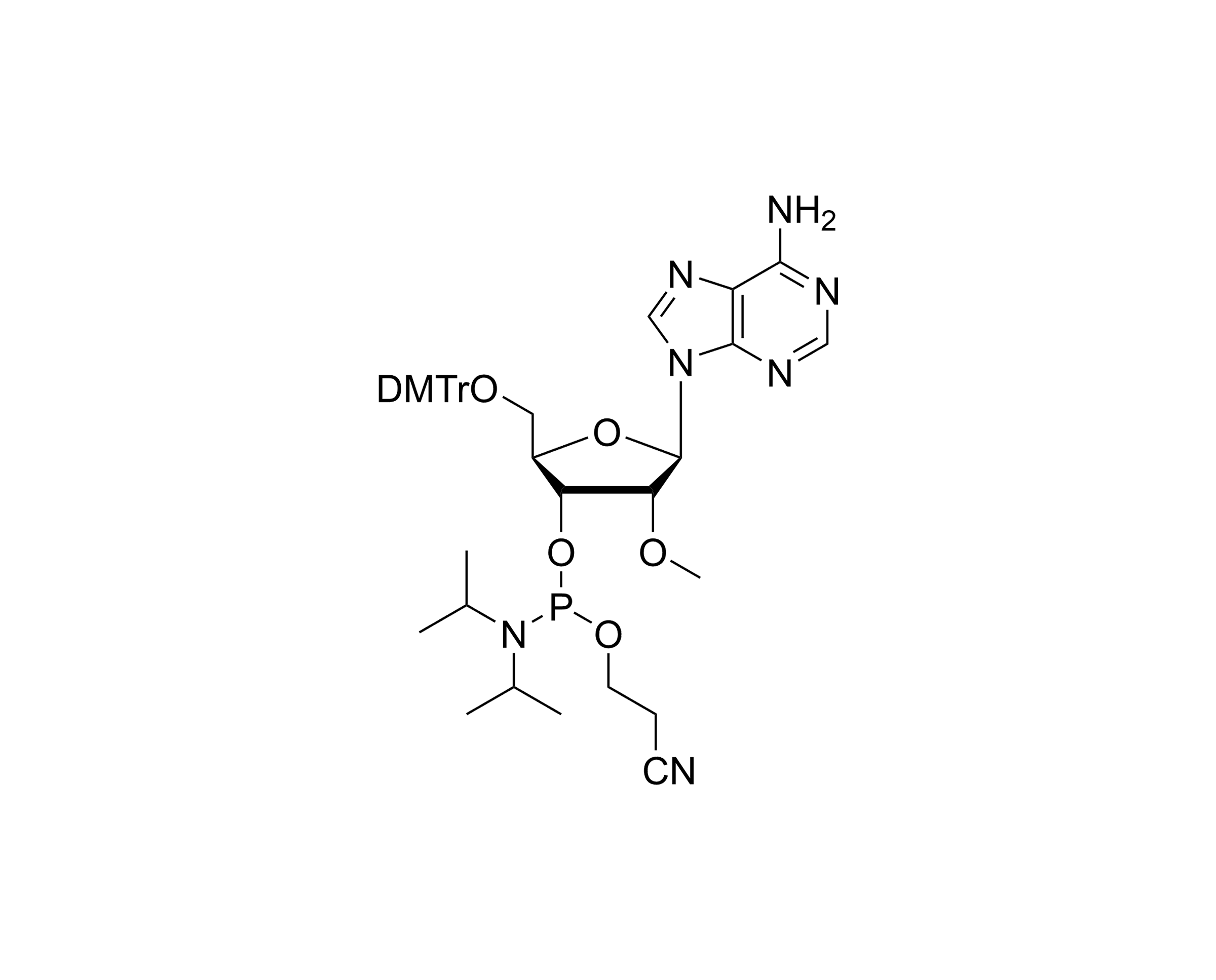 DMTr-2'-O-Me-rA-3'-CE-Phosphoramidite